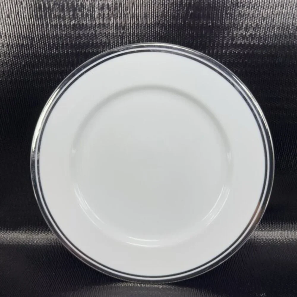 2005‎ Royal Doulton Pure Platinum Double Silver Band Plate Dish 10.5inch Set 3